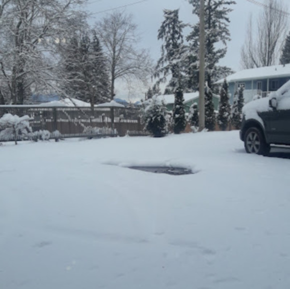 Meet your Posher, Simi - Picture 1 of 1